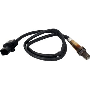 Oxygen Sensors
