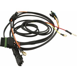 Ignition Wiring Harnesses