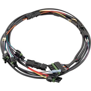 Ignition Wiring Harnesses