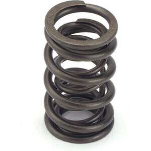 Valve Springs