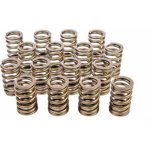 Valve Springs