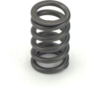 Valve Springs