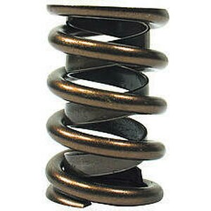 Valve Springs