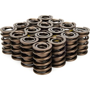 Valve Springs