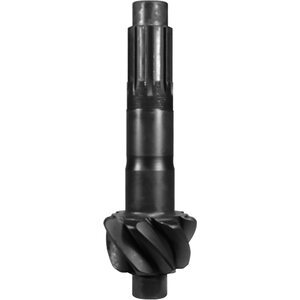 Ring and Pinion Gears