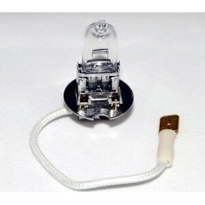 Exterior Light Bulbs