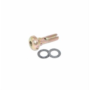 AED - 5550 - Hi-Flow Accelerator Pump Nozzle Screw