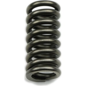 Automatic Transmission Springs