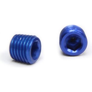 NPT Plugs