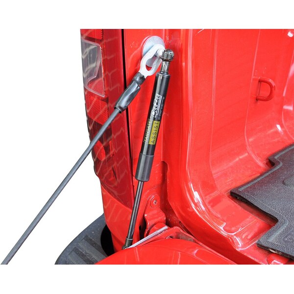Dee Zee - DZ 43301 - 09-21 Dodge Ram Tailgate Assist
