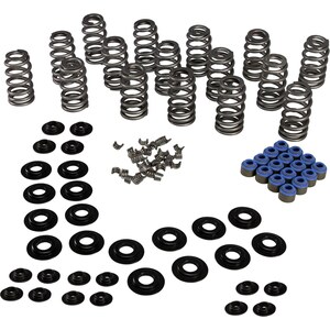 Valve Spring Kits
